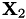 $\textbf{X}_2$