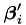 $\boldsymbol{\beta}_i'$